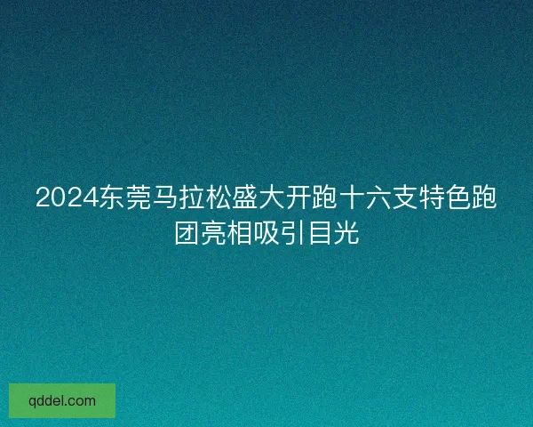 2024东莞马拉松盛大开跑十六支特色跑团亮相吸引目光 2024东莞马拉松盛大开跑十六支特色跑团亮相吸引目光