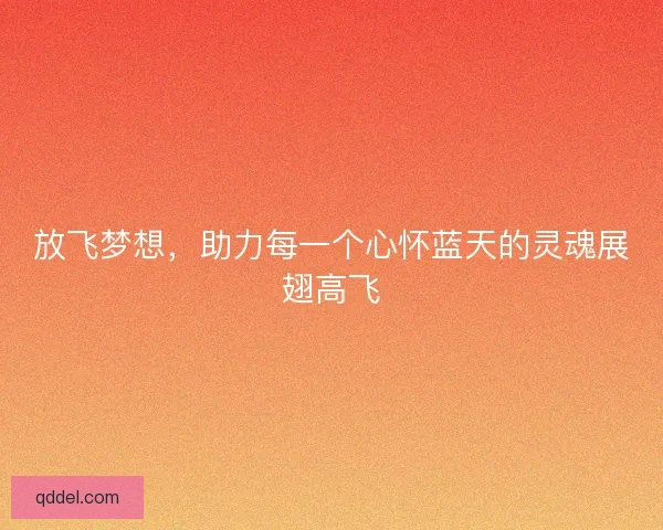 放飞梦想,助力每一个心怀蓝天的灵魂展翅高飞 放飞梦想,助力每一个心怀蓝天的灵魂展翅高飞