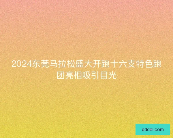 2024东莞马拉松盛大开跑十六支特色跑团亮相吸引目光